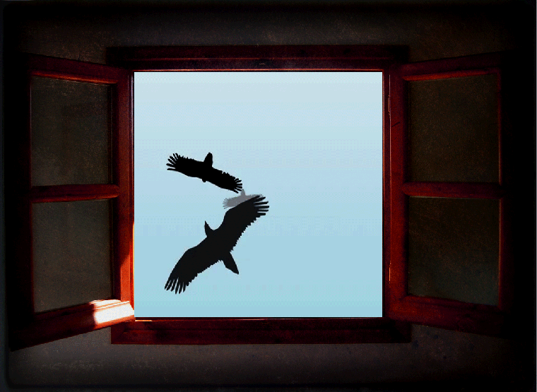 Birds Flying Around Window